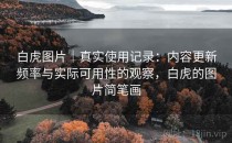 白虎图片｜真实使用记录：内容更新频率与实际可用性的观察，白虎的图片简笔画