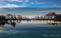 白虎无毛一线天暗网完整体验记录：在手机与电脑上的实际体验差别