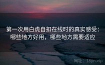 第一次用白虎自扣在线时的真实感受：哪些地方好用，哪些地方需要适应