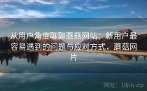 从用户角度聊聊蘑菇网站：新用户最容易遇到的问题与应对方式，蘑菇网片
