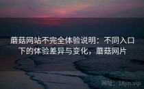 蘑菇网站不完全体验说明：不同入口下的体验差异与变化，蘑菇网片