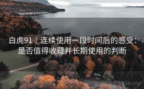 白虎91｜连续使用一段时间后的感受：是否值得收藏并长期使用的判断