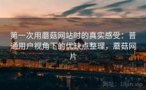第一次用蘑菇网站时的真实感受：普通用户视角下的优缺点整理，蘑菇网片