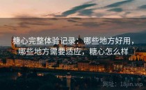 糖心完整体验记录：哪些地方好用，哪些地方需要适应，糖心怎么样