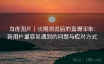 白虎图片｜长期浏览后的直观印象：新用户最容易遇到的问题与应对方式