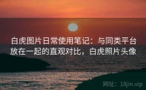 白虎图片日常使用笔记：与同类平台放在一起的直观对比，白虎照片头像