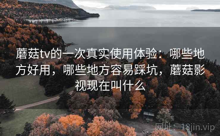 蘑菇tv的一次真实使用体验:哪些地方好用,哪些地方容易踩坑,蘑菇影视现在叫什么 第1张 蘑菇tv的一次真实使用体验:哪些地方好用,哪些地方容易踩坑,蘑菇影视现在叫什么 第1张