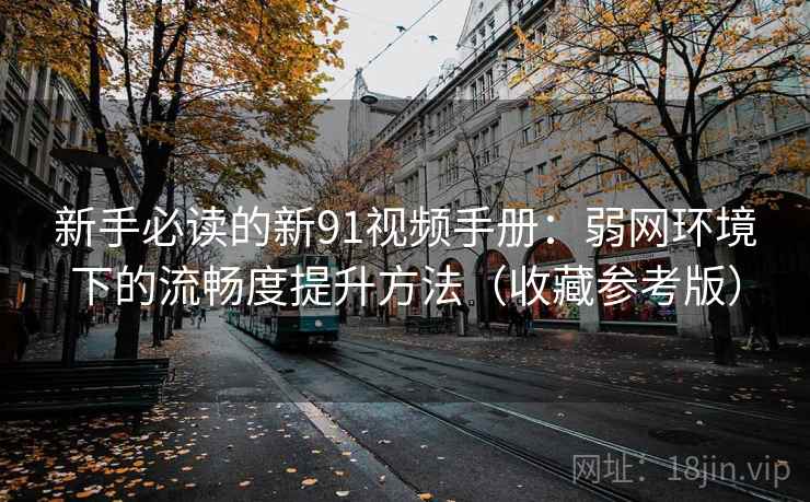 新手必读的新91视频手册：弱网环境下的流畅度提升方法（收藏参考版）  第2张