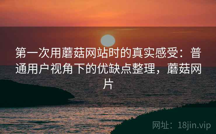 第一次用蘑菇网站时的真实感受：普通用户视角下的优缺点整理，蘑菇网片  第2张