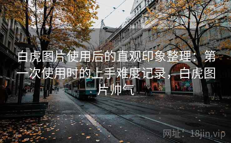 白虎图片使用后的直观印象整理：第一次使用时的上手难度记录，白虎图片帅气  第2张