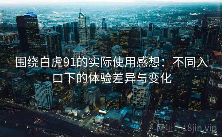 围绕白虎91的实际使用感想：不同入口下的体验差异与变化  第1张