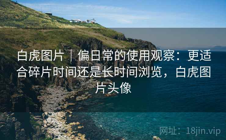 白虎图片｜偏日常的使用观察：更适合碎片时间还是长时间浏览，白虎图片头像  第2张