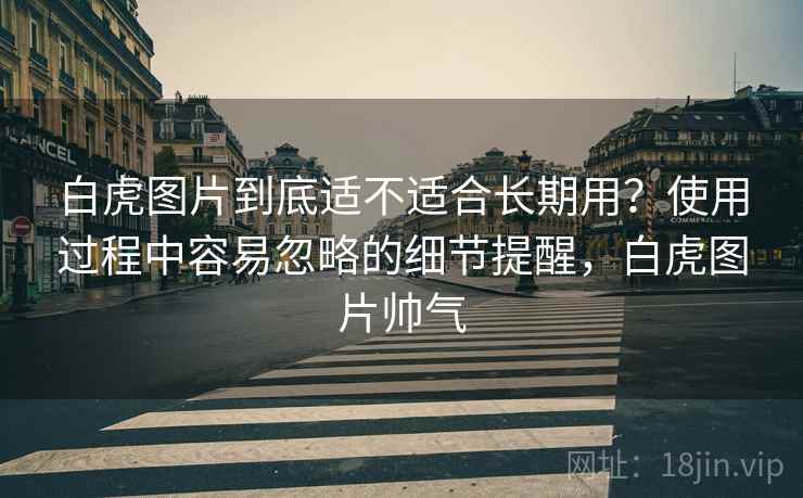 白虎图片到底适不适合长期用?使用过程中容易忽略的细节提醒,白虎图片帅气 第2张 白虎图片到底适不适合长期用?使用过程中容易忽略的细节提醒,白虎图片帅气 第2张