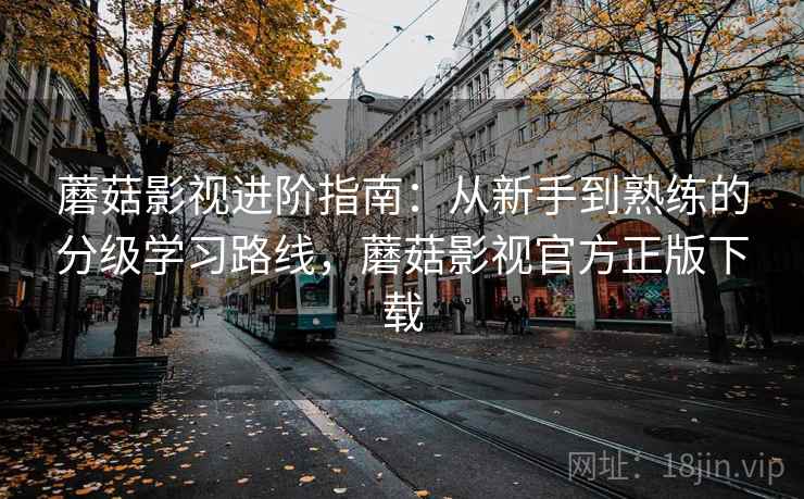 蘑菇影视进阶指南：从新手到熟练的分级学习路线，蘑菇影视官方正版下载  第2张