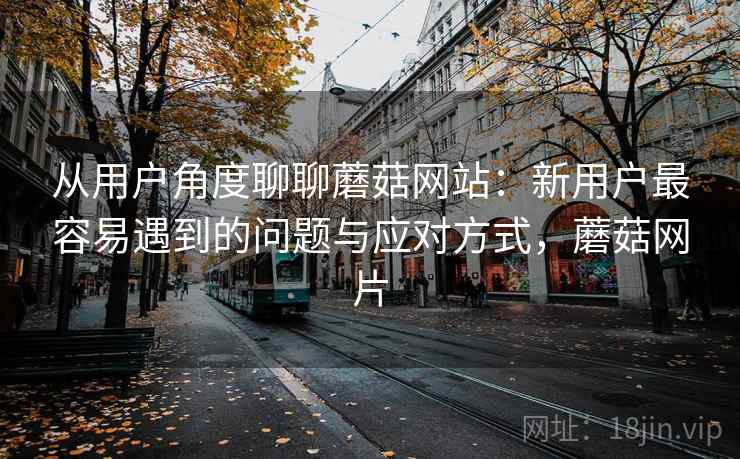 从用户角度聊聊蘑菇网站:新用户最容易遇到的问题与应对方式,蘑菇网片 第2张 从用户角度聊聊蘑菇网站:新用户最容易遇到的问题与应对方式,蘑菇网片 第2张