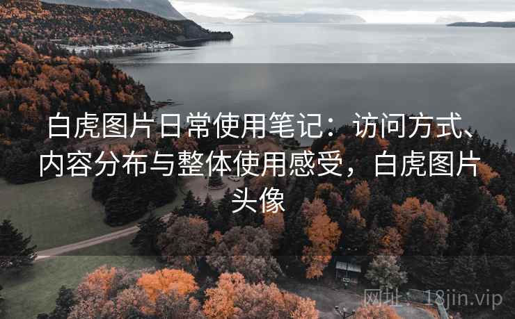 白虎图片日常使用笔记:访问方式、内容分布与整体使用感受,白虎图片头像 第2张 白虎图片日常使用笔记:访问方式、内容分布与整体使用感受,白虎图片头像 第2张
