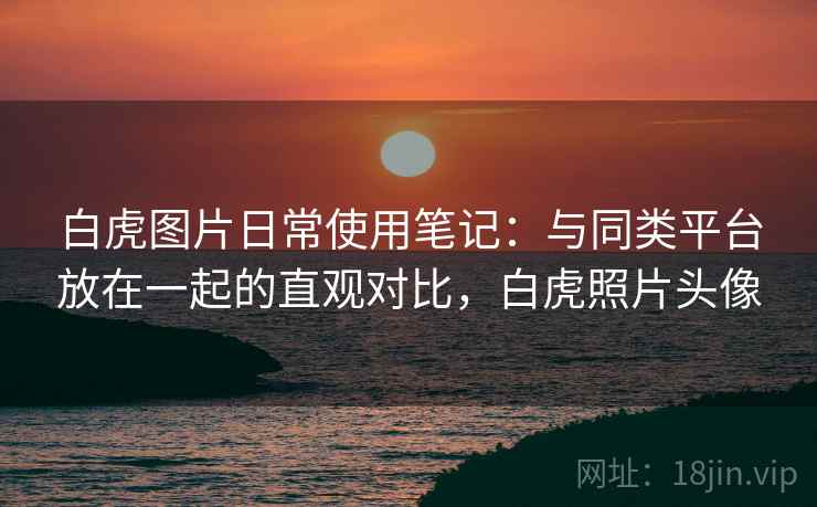 白虎图片日常使用笔记:与同类平台放在一起的直观对比,白虎照片头像 第1张 白虎图片日常使用笔记:与同类平台放在一起的直观对比,白虎照片头像 第1张
