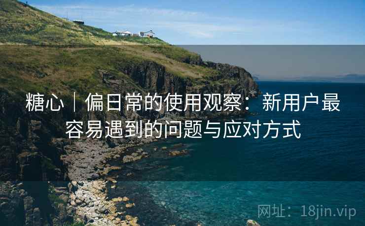 糖心|偏日常的使用观察:新用户最容易遇到的问题与应对方式 第2张 糖心|偏日常的使用观察:新用户最容易遇到的问题与应对方式 第2张