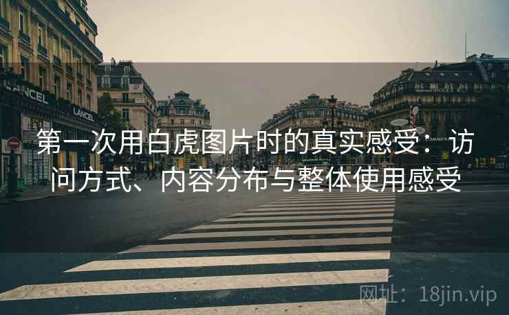 第一次用白虎图片时的真实感受:访问方式、内容分布与整体使用感受 第2张 第一次用白虎图片时的真实感受:访问方式、内容分布与整体使用感受 第2张